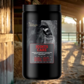 Biofeed Horse&Pony Joints Care granules